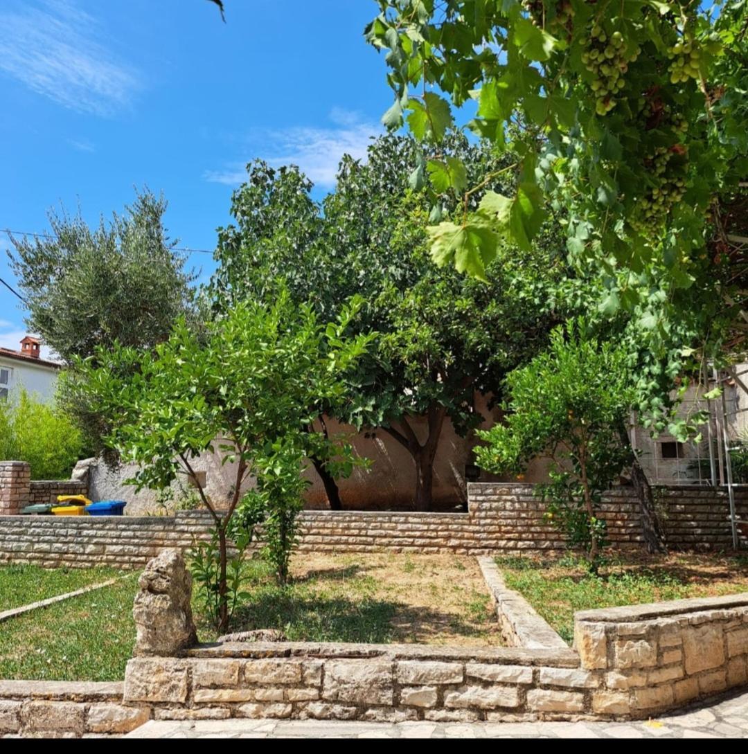 Villa Giulia Ližnjan エクステリア 写真